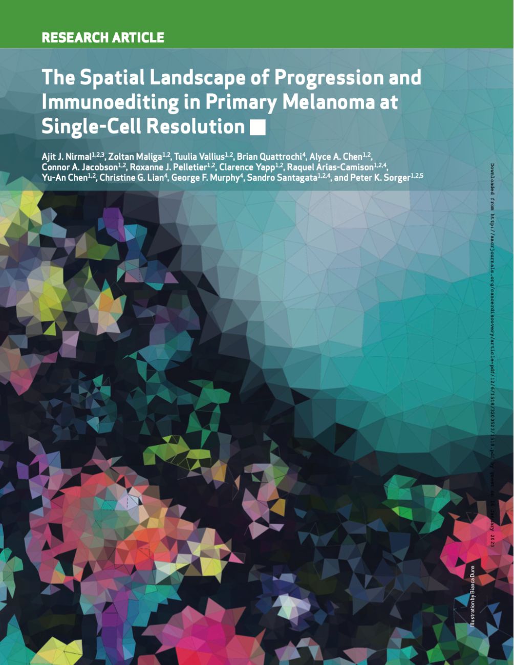 The Spatial Landscape of Progression and Immunoediting in Primary Melanoma at Single-Cell Resolution